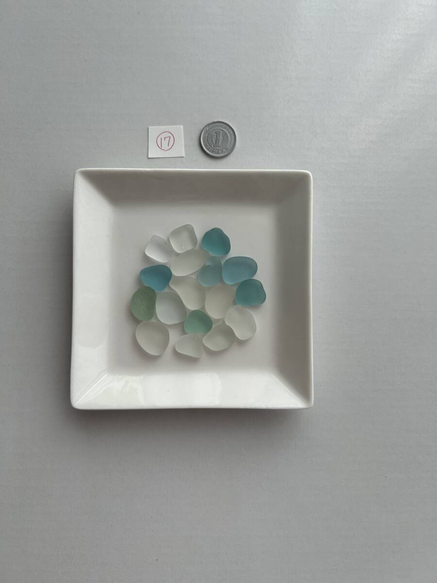 17 シーグラス拍卖