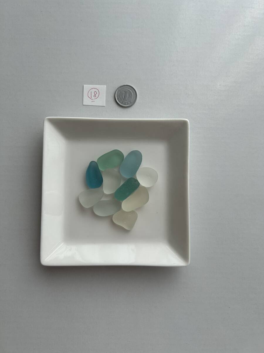 18 シーグラス拍卖