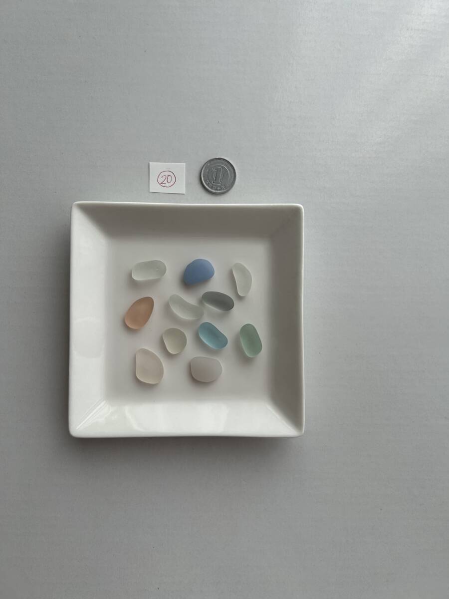 20 シーグラス拍卖