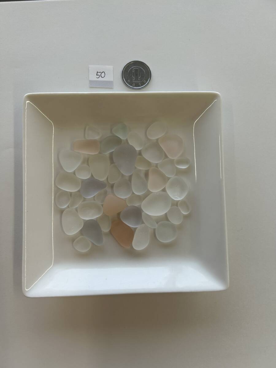 50 シーグラス拍卖