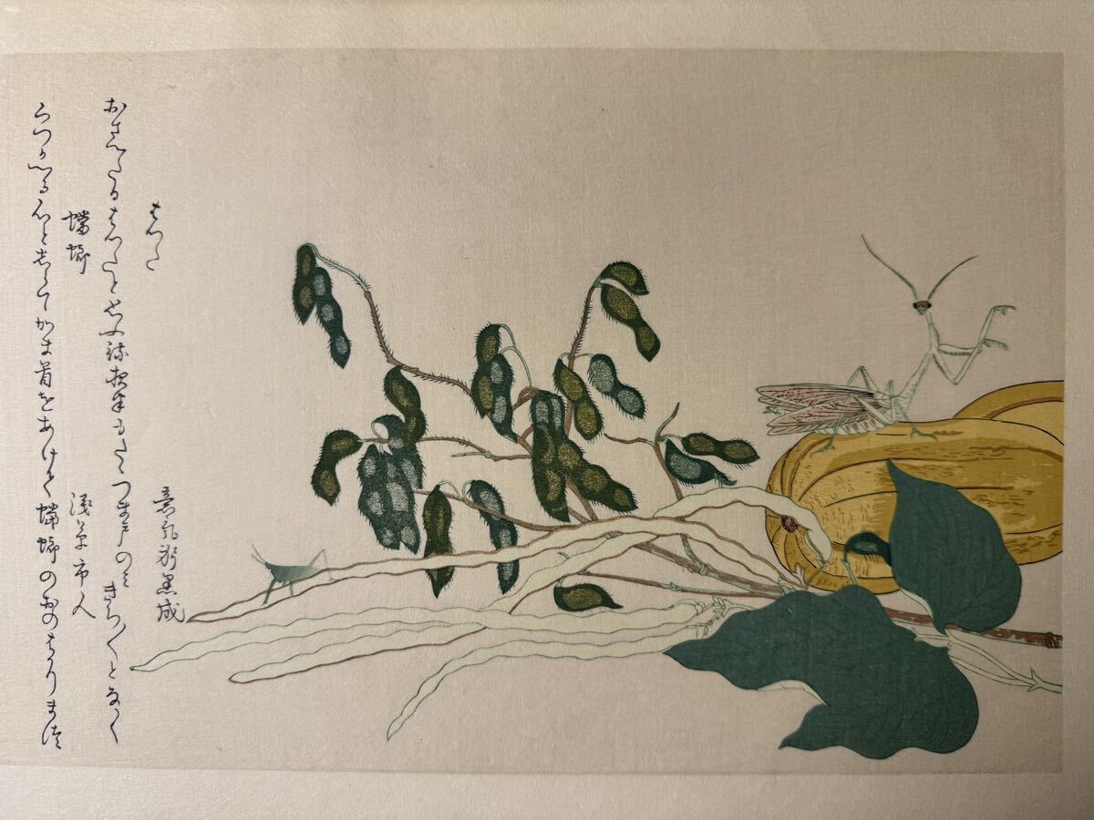 真作 喜多川歌麿 虫えらみ ばったと蟷螂 彫:大倉健二 摺:渡辺章夫 浮世絵 錦絵 木版画 摺物 和本 古書 Utamaro Ukiyoe拍卖