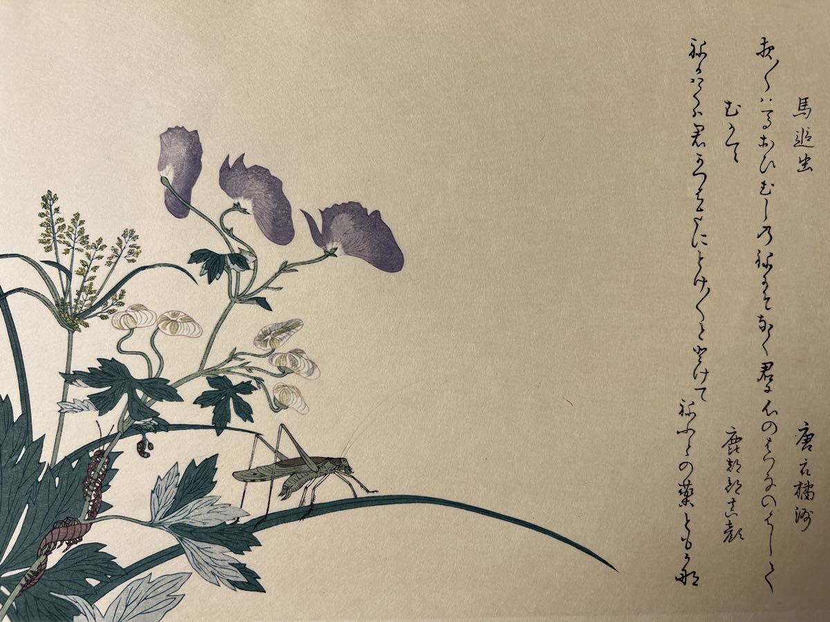 真作 喜多川歌麿 虫えらみ 馬追虫とむかで 彫:大倉健二 摺:渡辺章夫 浮世絵 錦絵 木版画 摺物 和本 古書 Utamaro Ukiyoe拍卖