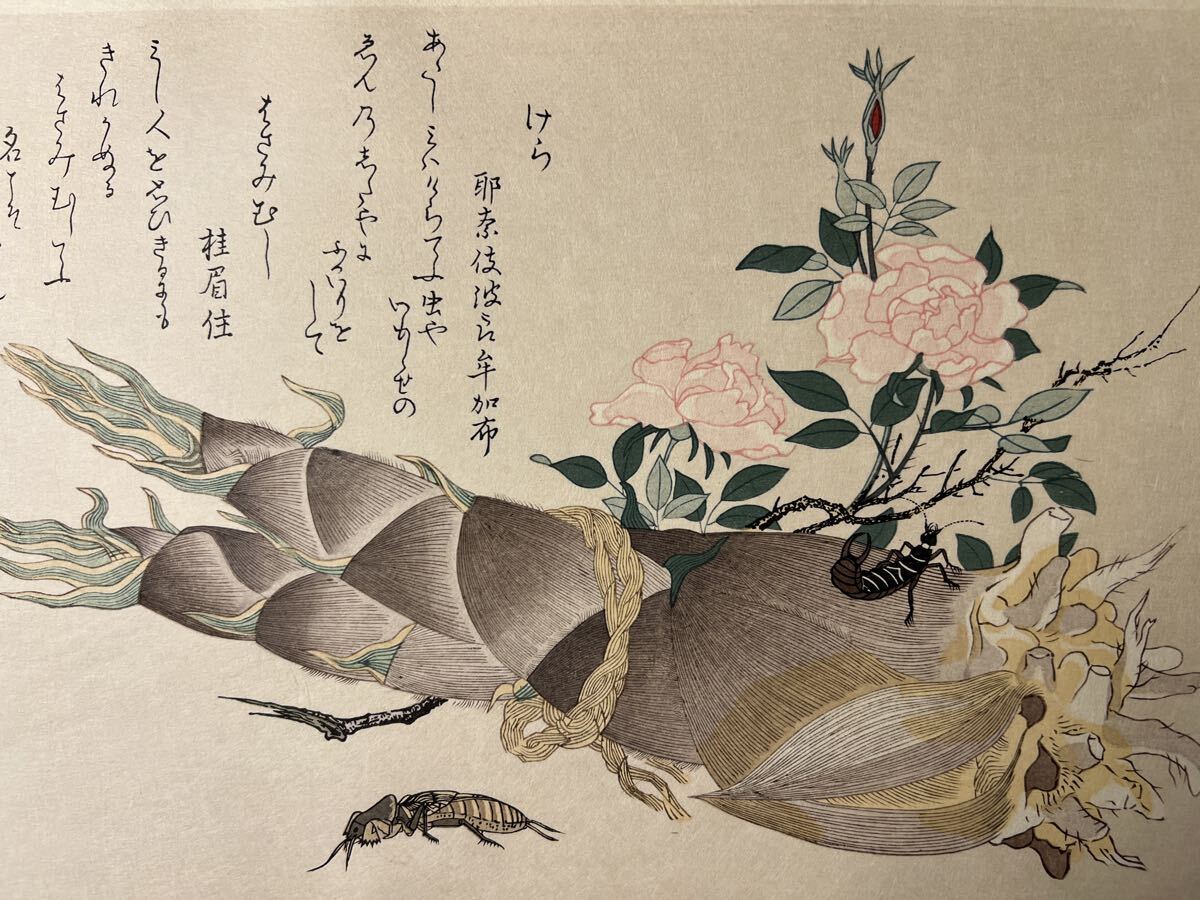 真作 喜多川歌麿 虫えらみ けら はさみむし たけのこ 彫:大倉健二 摺:渡辺章夫 浮世絵 錦絵 木版画 摺物 和本 古書 Utamaro Ukiyoe拍卖