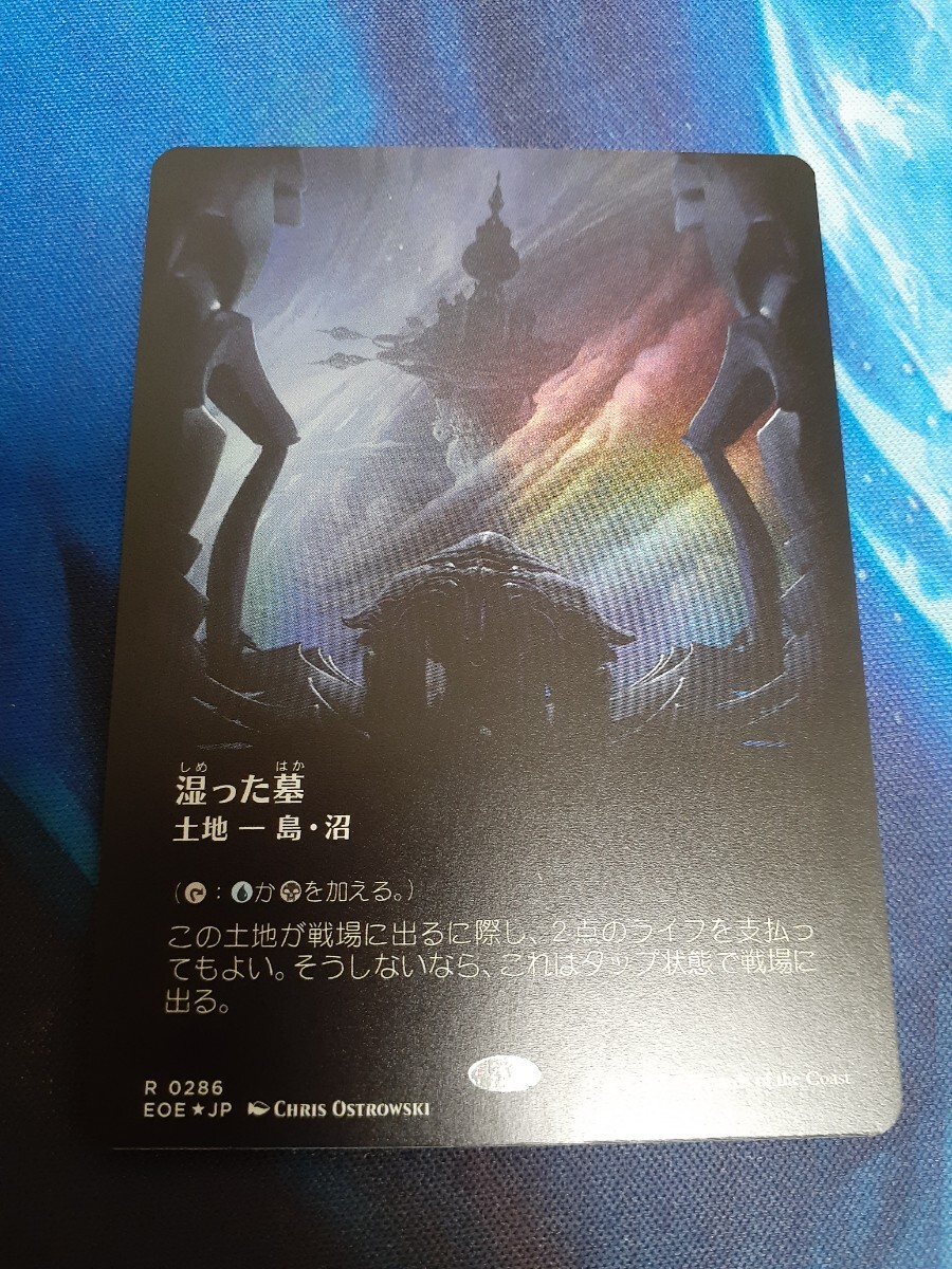 mtg  湿った墓 日本語 ボーダーレス foil拍卖