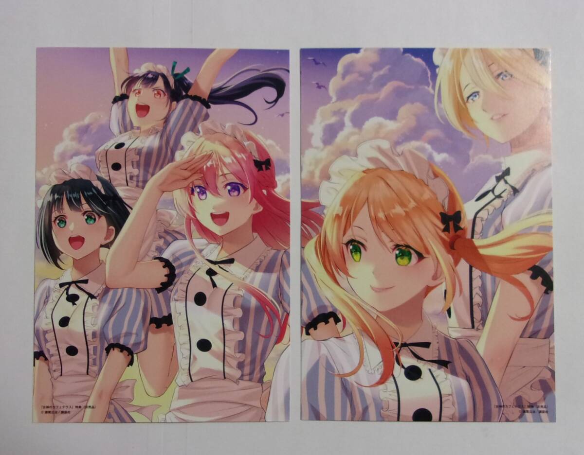 【イラストカード】 女神のカフェテラス 16巻購入特典 2枚セット(全2種) 瀬尾公治/講談社 非売品拍卖