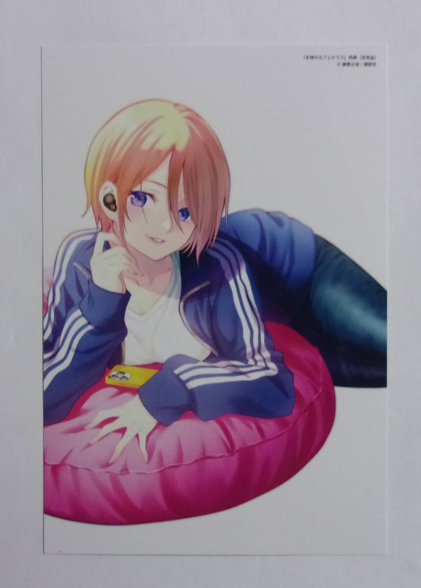 【イラストカード】 女神のカフェテラス 15巻購入特典 B 瀬尾公治/講談社 非売品拍卖