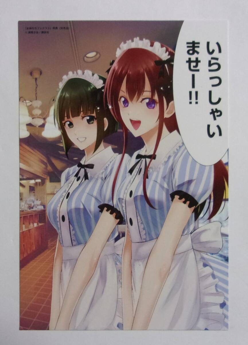 【イラストカード】 女神のカフェテラス 7巻購入特典 B 瀬尾公治/講談社 非売品拍卖