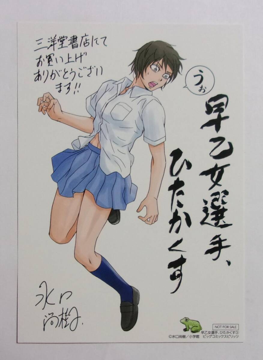 【イラストカード】【三洋堂書店購入特典】 早乙女選手、ひたかくす 3巻特典 水口尚樹/集英社 非売品拍卖