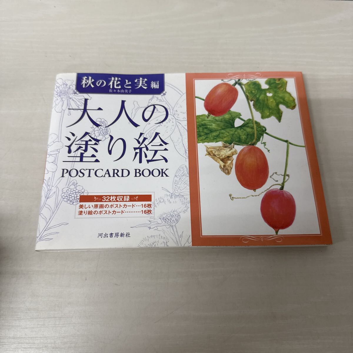 ● 大人の塗り絵 秋の花と実 編 河出書房新社 POST CARD BOOK 中古品 ●拍卖