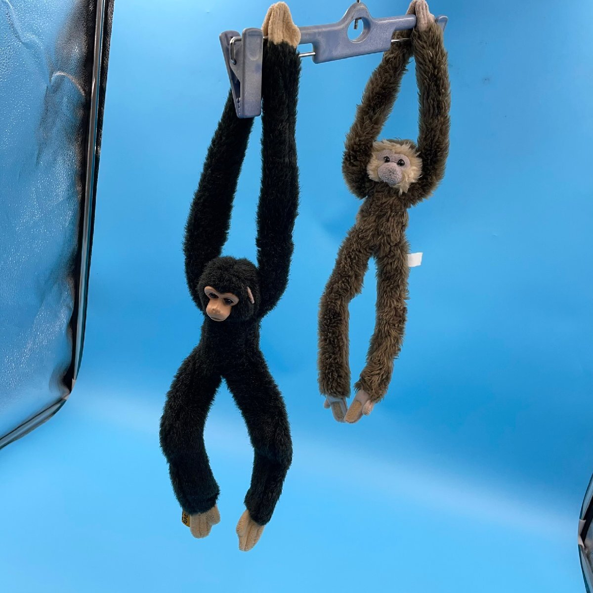 【18988Q082】ぬいぐるみ 猿 サル 手長猿 テナガサル テナガザル WILD REPUBLIC ワイルドリパブリック チンパンジー マジックテープ 現状品拍卖