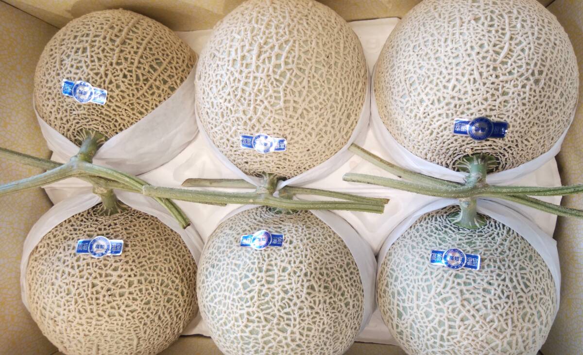 1円~【高知県産】 温室メロン A6玉 約9.5㎏ クール便!拍卖