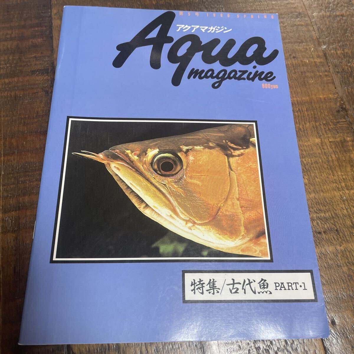 古代魚 アクアマガジン 特集/古代魚 PART・1 検) アロワナ ピラルクー ガーパイク アミアカルバ ポリプテルス ネオケラ NO5 松坂實拍卖