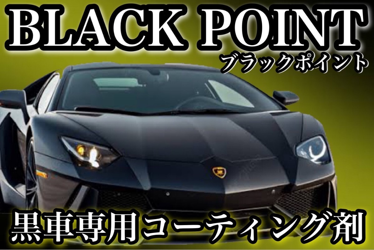 BLACK POINT スーパーガラスコーティング剤 2000ml 3号店限定 黒車専用コーティング剤 拍卖