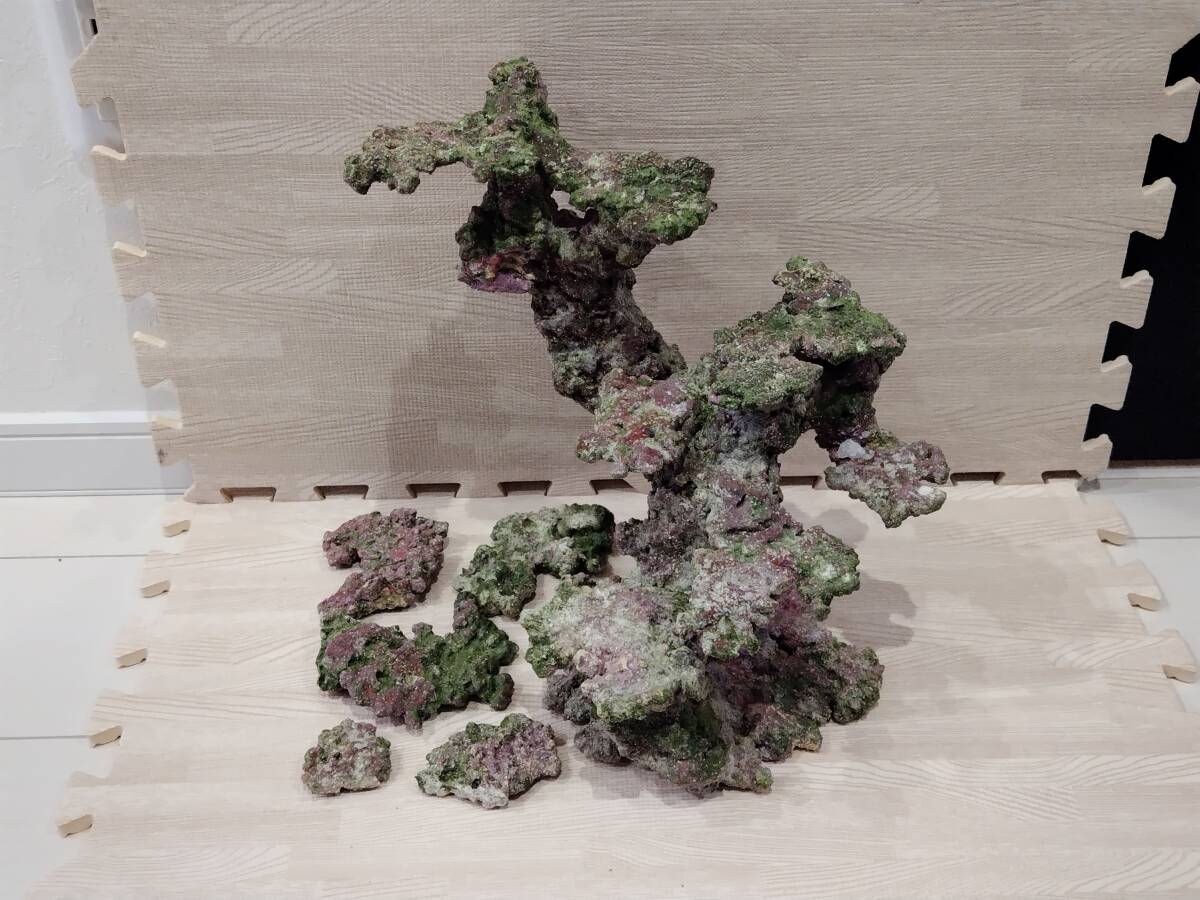 人工ライブロック ライブロック レプリカ レイアウト 擬岩 海水魚 水槽 珊瑚 サンゴ ショップ制作品拍卖