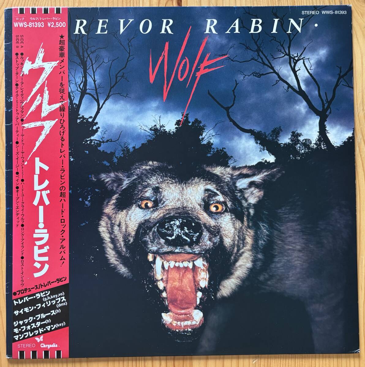 Trevor Rabin / Wolf 帯付き LP レコード WWS-81393拍卖