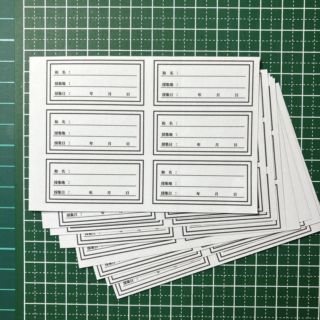 【標本道具】標本ラベルシール 6枚×8束拍卖