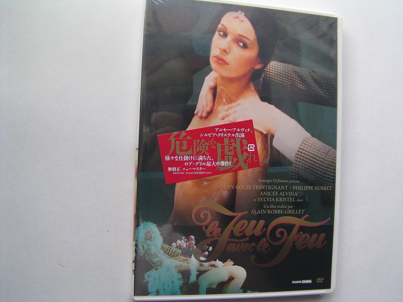 ★名作!危険な戯れ アニセー・アルヴィナ・国内正規版DVD中古品★DVD4枚までクリックポスト185円拍卖