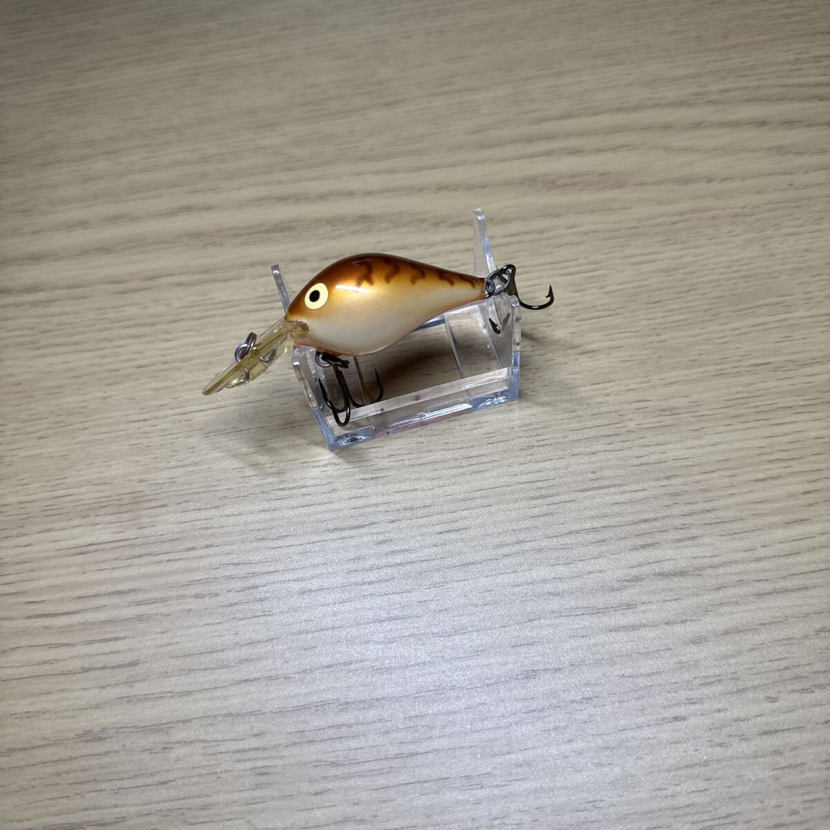 ラパラ ラトリンファットラップ 約40mm アイルランド(ID05410)拍卖