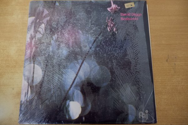 Q8-181<LP/US盤/美盤>David Diggs / Realworld拍卖