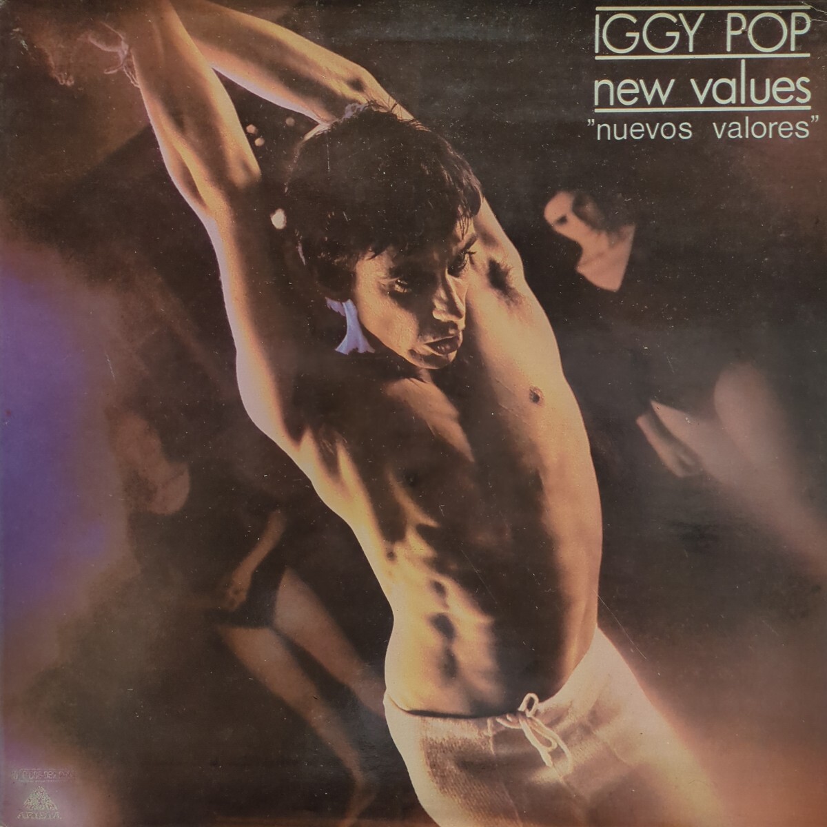 イギー・ポップ iggypop newvalues nuevosvalores ロック ロックンロール パンク punk LP レコード 見開きジャケット拍卖