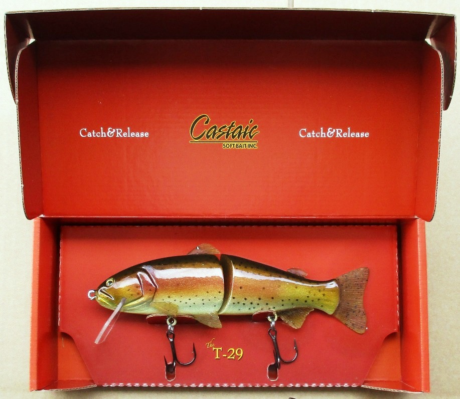 【冬セール!】キャスティーク Castaic T-29 ブラウンレインボー 未使用品拍卖