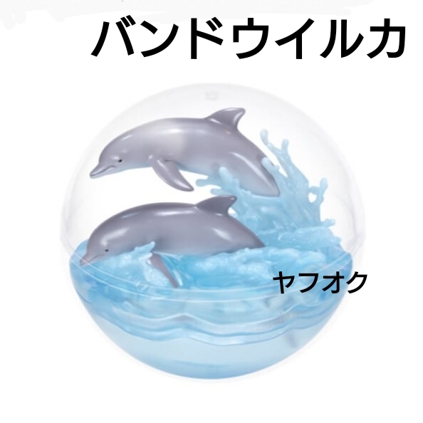 バンドウイルカ カプリウムコレクション 海洋生物 2 カプセルトイ ガチャガチャ ガチャ ミニチュア フィギュア イルカ いるか 海 生き物拍卖