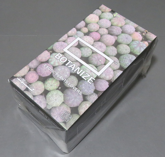 BE@RBRICK Botanize 400%拍卖