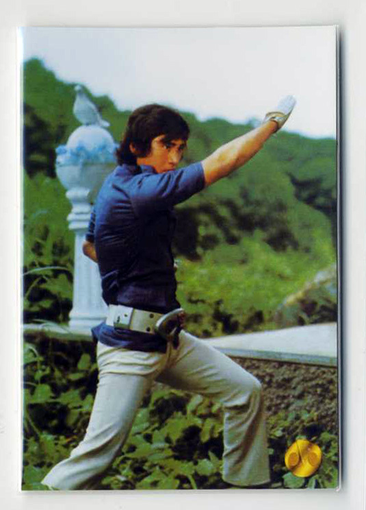 ◆防水対策 厚紙補強 カルビー 仮面ライダーV3チップスカード(2004 復刻版)D70 行け、行け! 風見史郎 トレカ 即決拍卖