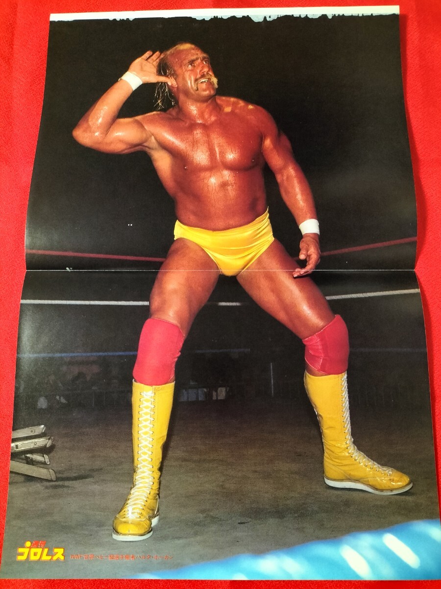 ■追悼■ハルクホーガン■プロレス・ピンナップ★拍卖