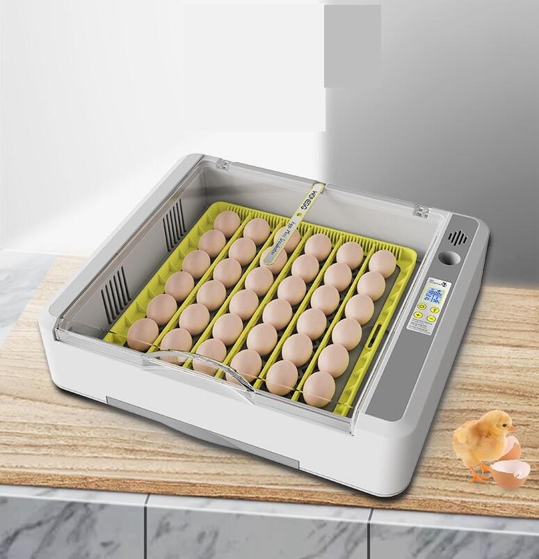 上質自動孵卵器 検卵ライト内蔵 自動転卵式 転卵式孵化器 大型インキュベーター 36個 LED冷光付き 自動温度調節 デジタル表示 鶏卵 家庭用拍卖