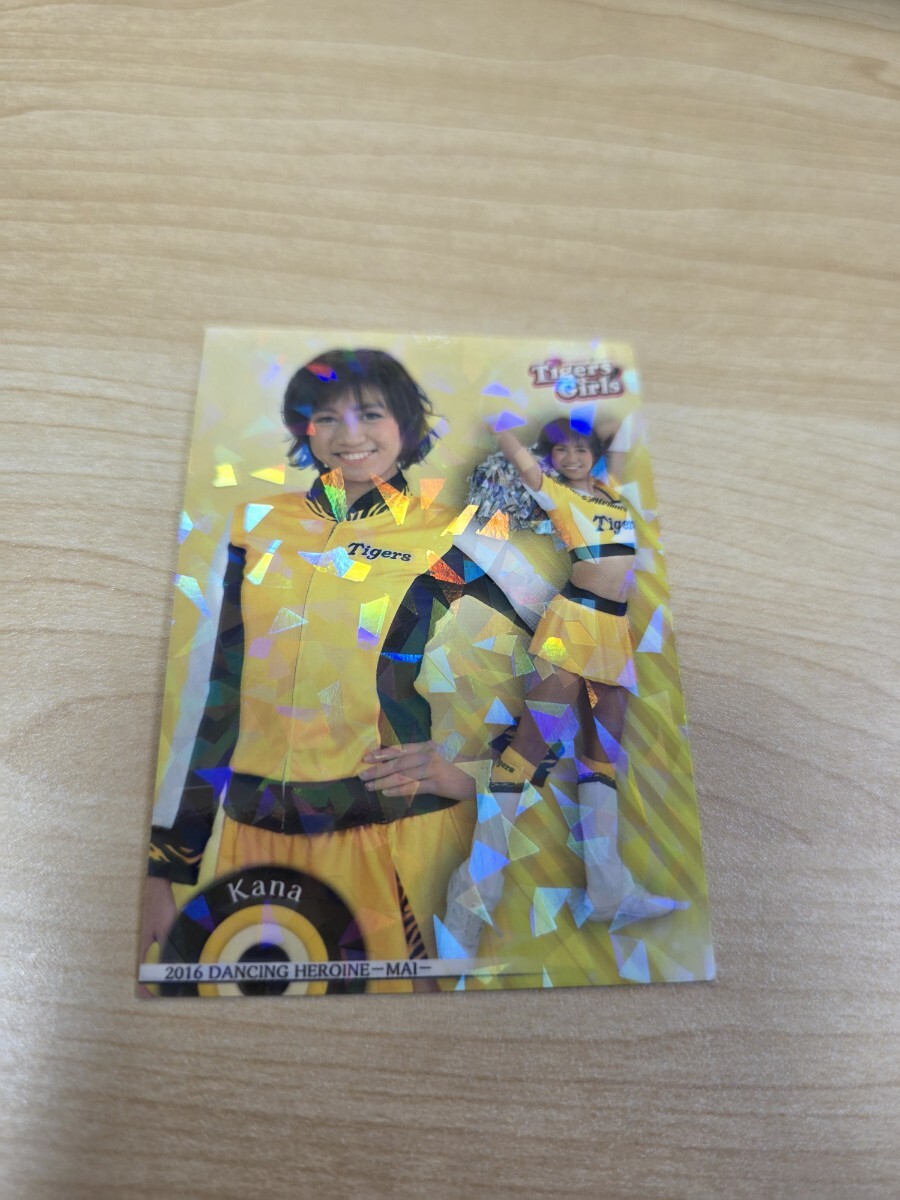 即決 2016BBM チアリーダー 舞 ホロパラレルカード 阪神 Tigers Girl Kana拍卖