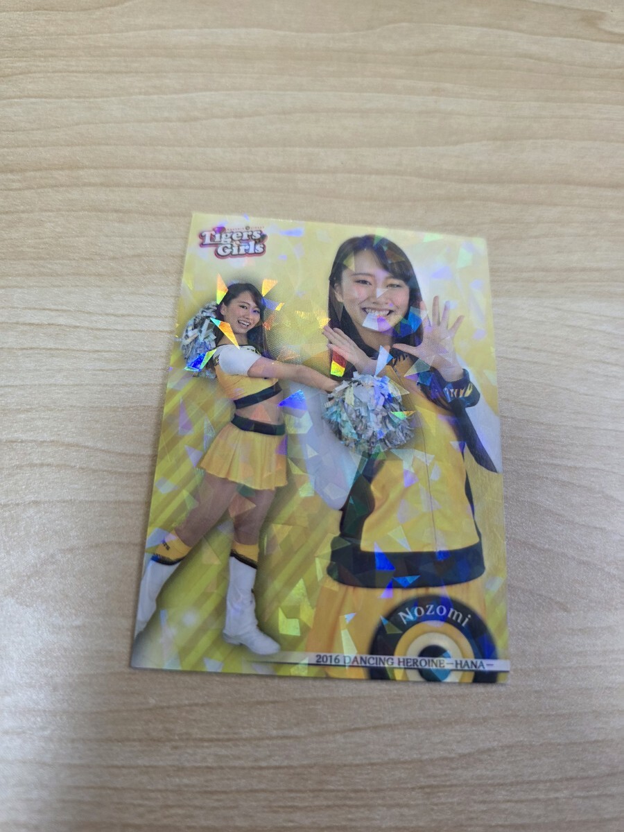 即決 2016BBM チアリーダー 華 ホロパラレルカード 阪神 Tigers Girl Nozomi拍卖