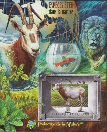 ブルンジ切手『絶滅種』無目打 2012拍卖