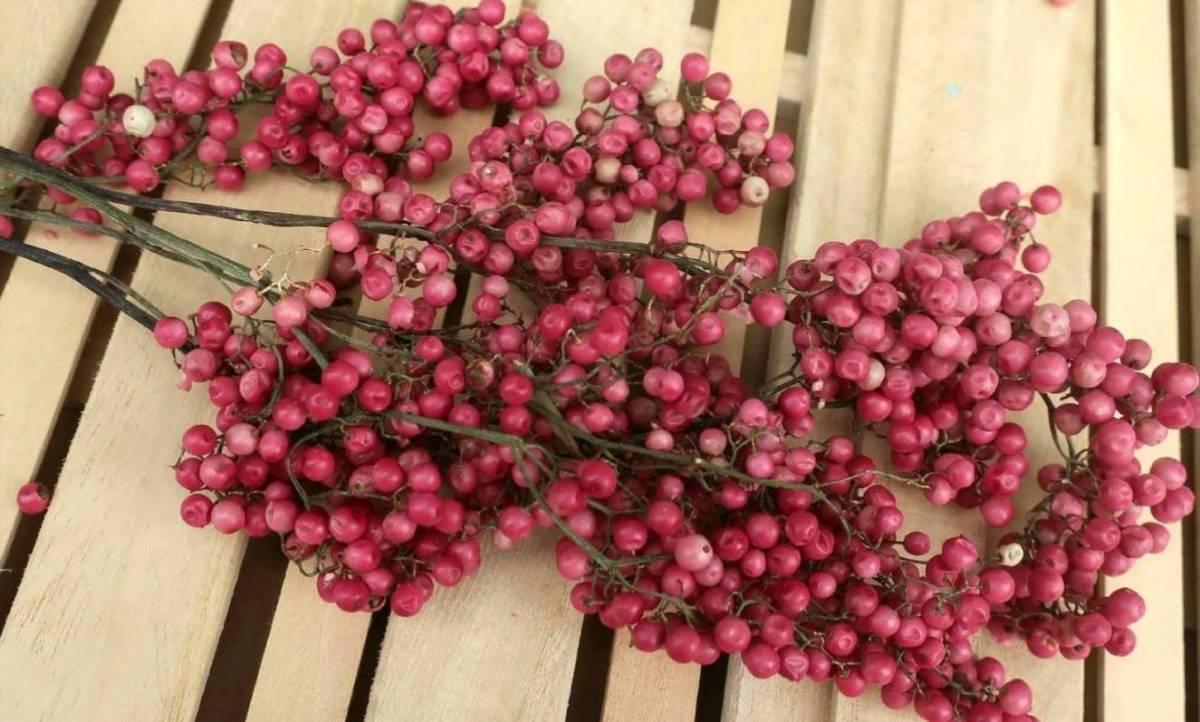 めぐみ工房 北海道ドライフラワー ペッパーベリーピンク大束・ハーバリウム 花材 リース プリザーブドフラワー拍卖