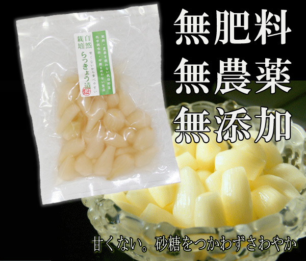 らっきょう漬け(70g)★無肥料・無農薬★無添加・無化学調味料★砂糖は不使用★発酵熟成★後味すっきりカリカリ感の残る豊かな味(*^^*)拍卖