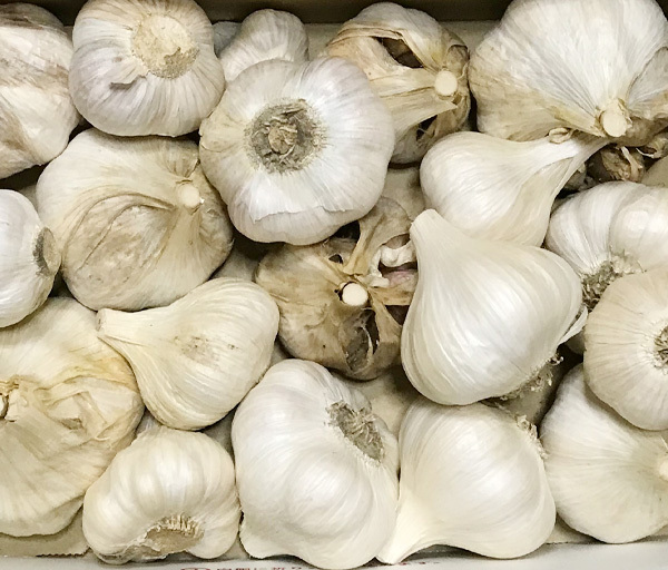 自然栽培 にんにく(1kg)★熊本県産★30年以上 無肥料・無農薬★いやしの野菜★手間ひまかけてお世話し自然と共生する農法で作っています♪拍卖