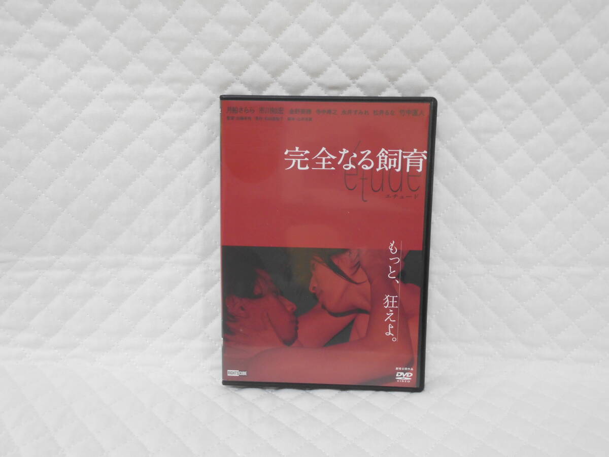 レンタルDVD 完全なる飼育 etude拍卖