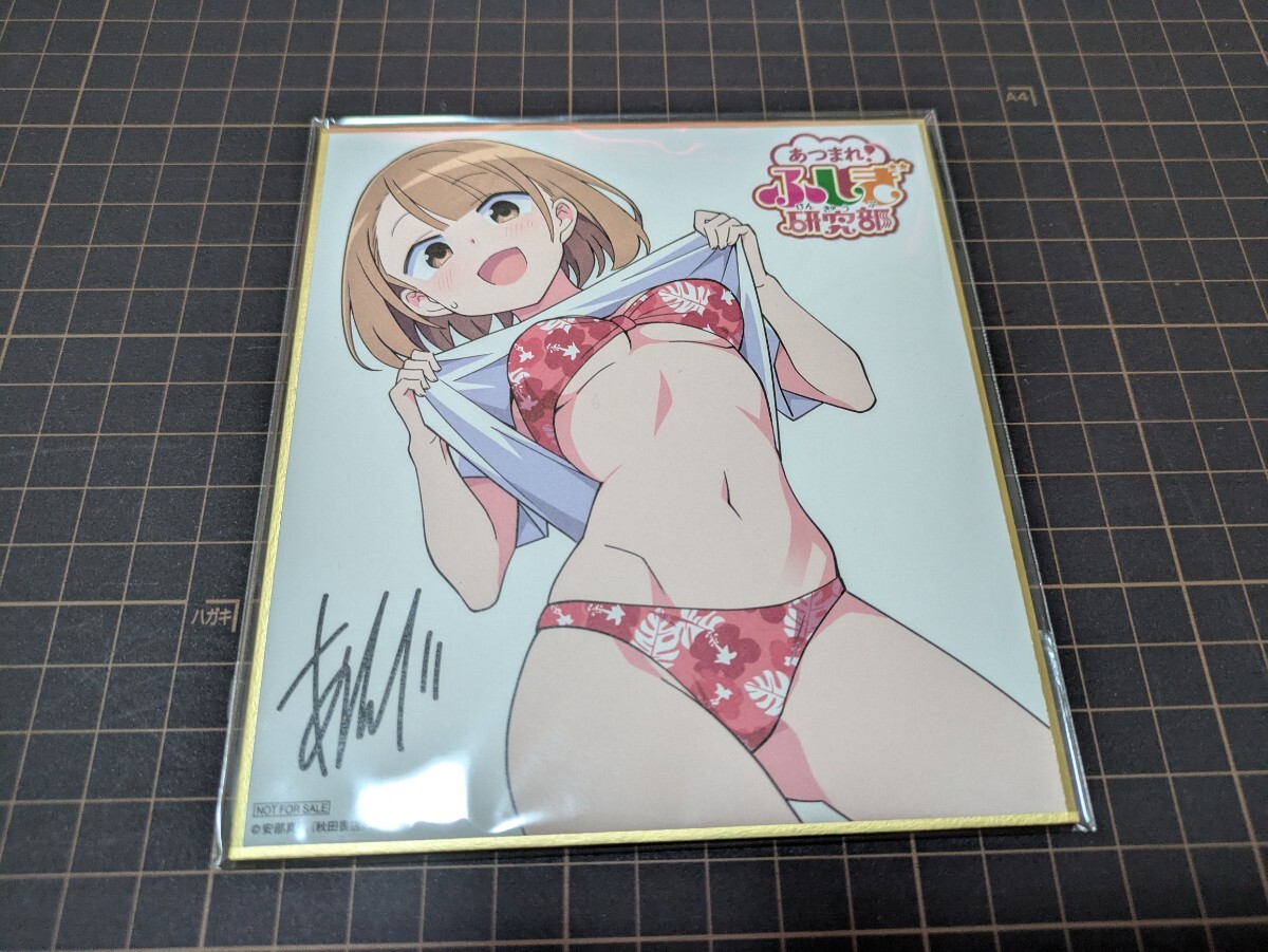 あつまれ!ふしぎ研究部 ゲーマーズ 冬の本まつり2023→2024 ミニ色紙 春日野旭 安部真弘拍卖