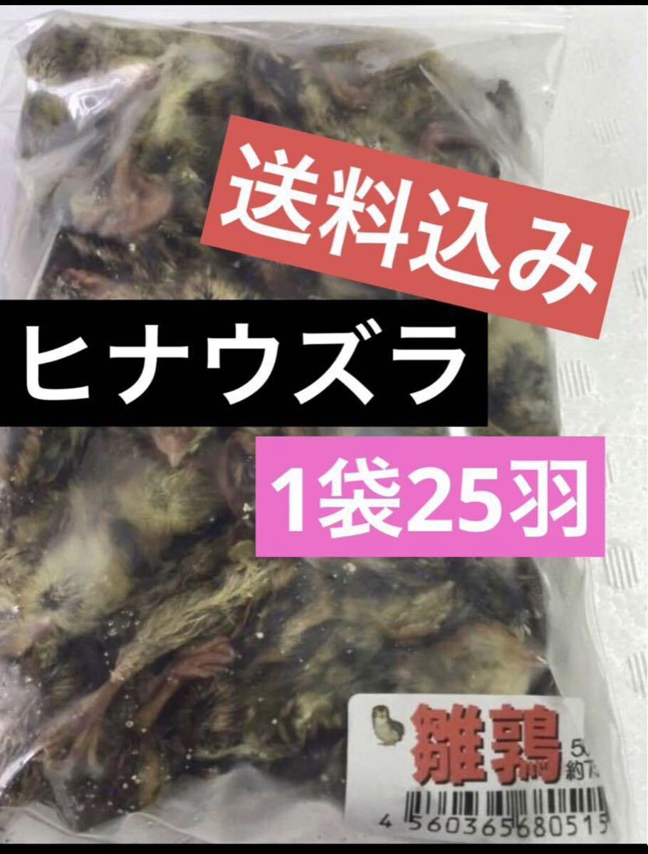 冷凍ヒナウズラ 1袋25羽入り 雛鶉 冷凍エサ 冷凍餌 猛禽類 爬虫類★同梱可 追加可拍卖