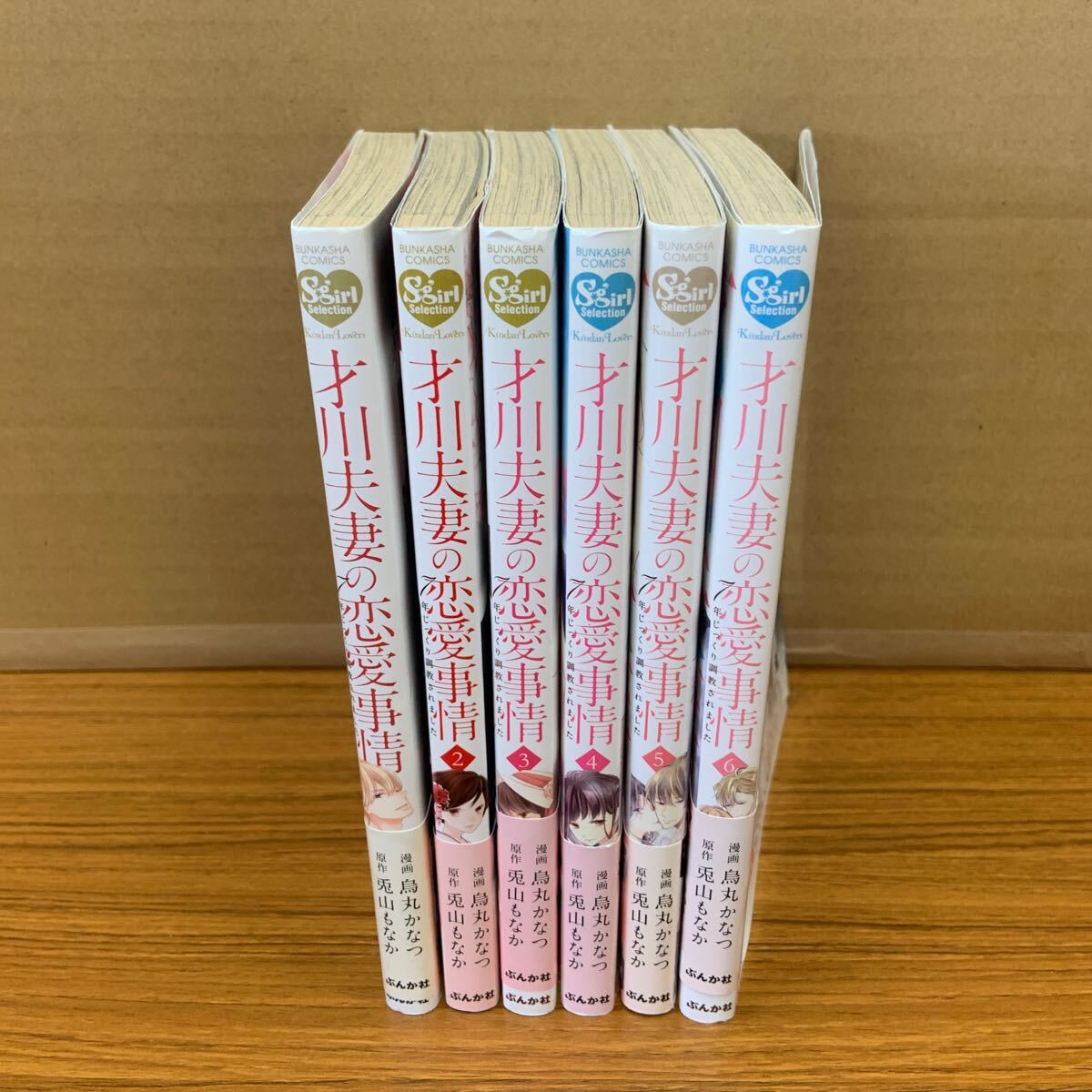 才川夫妻の恋愛事情 7年じっくり調教され 全6巻完結セット 烏丸 かなつ 画 全巻拍卖