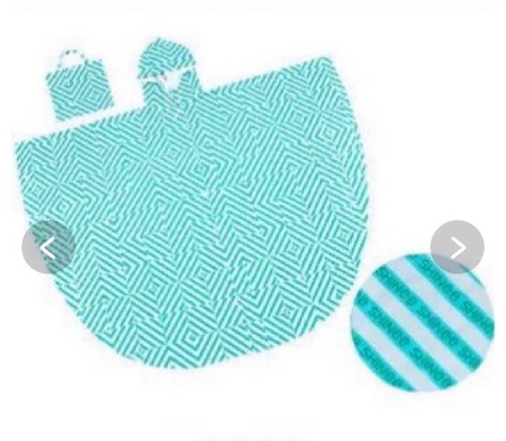 新品 SHINee ポンチョ レインコート SMTOWN 2015 公式グッズ拍卖