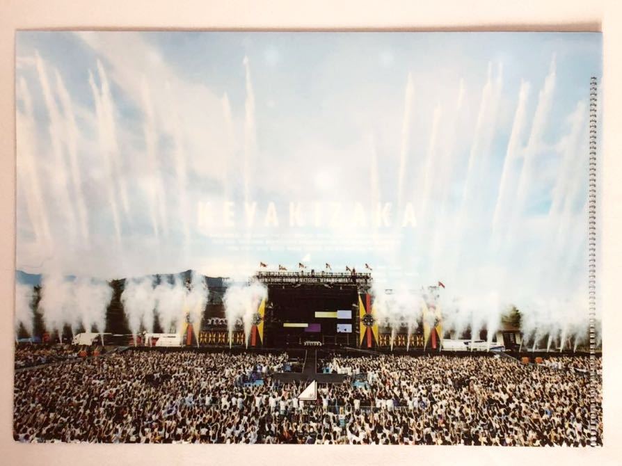 欅坂46 欅共和国2018 A5クリアファイル 初回生産限定盤 Loppi・HMV限定購入特典 非売品拍卖