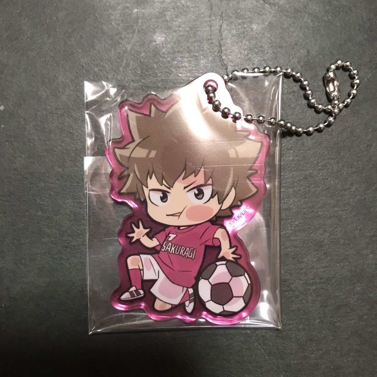 DAYS 犬童かおる ぴた!でふぉめ アクリルキーホルダー アクリルキーホルダー アクキー デイズ グッズ ストラップ 公式 サッカー拍卖