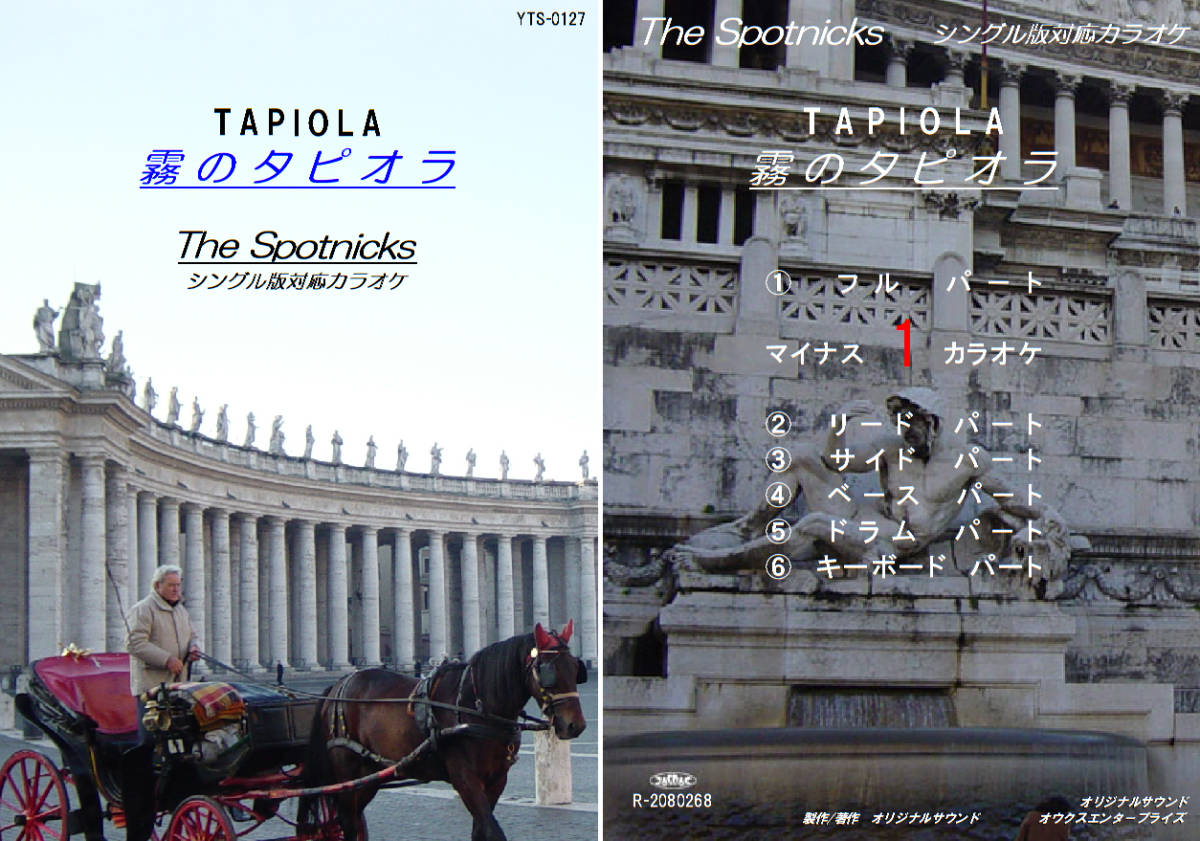 YTS-127 スプートニクスカラオケ 霧のタピオラ 試聴OK THE SPOTNICKS TAPIOLA 拍卖
