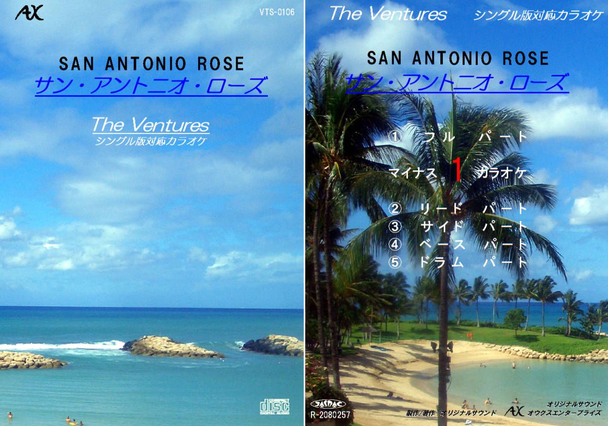 VTS-106 ベンチャーズカラオケ サン・アントニオ・ローズ 試聴OK THE VENTURES SAN ANTONIO ROSE拍卖