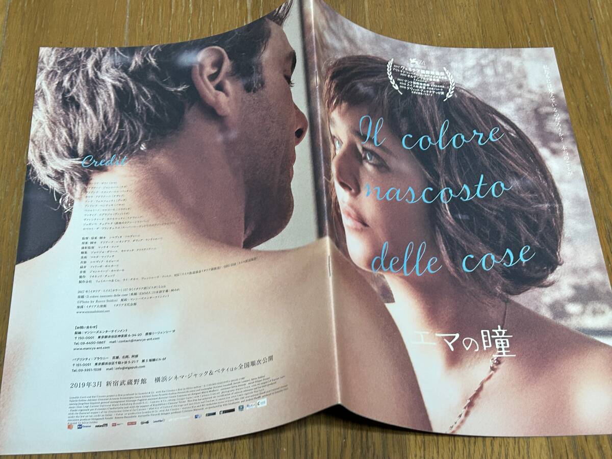 ★即決落札★非売品/映画プレスブック「エマの瞳」ヴァレリア・ゴリノ/アドリアーノ・ジャンニーニ拍卖