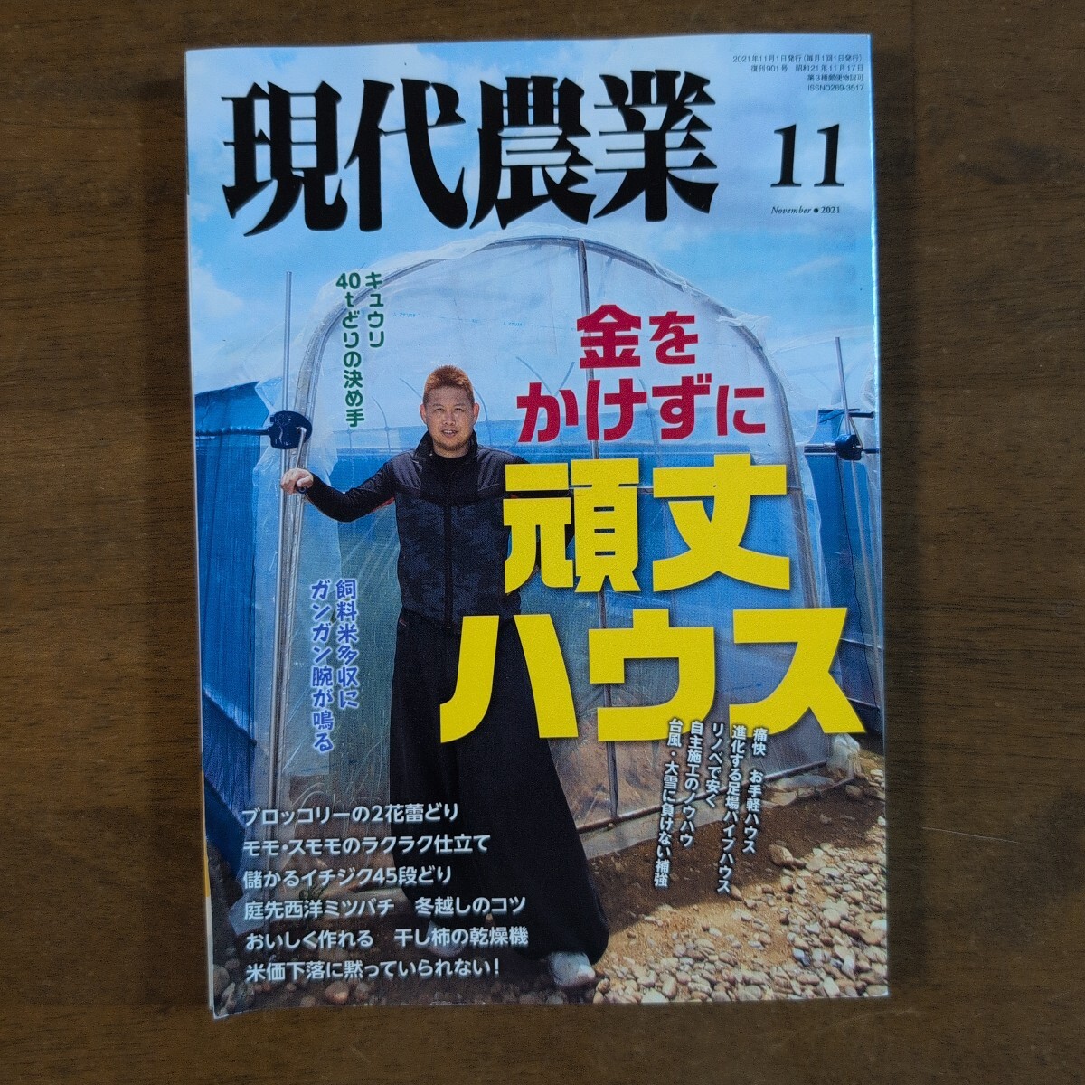現代農業  金をかけずに頑丈ハウス  ブロッコリーの2花蕾どり拍卖