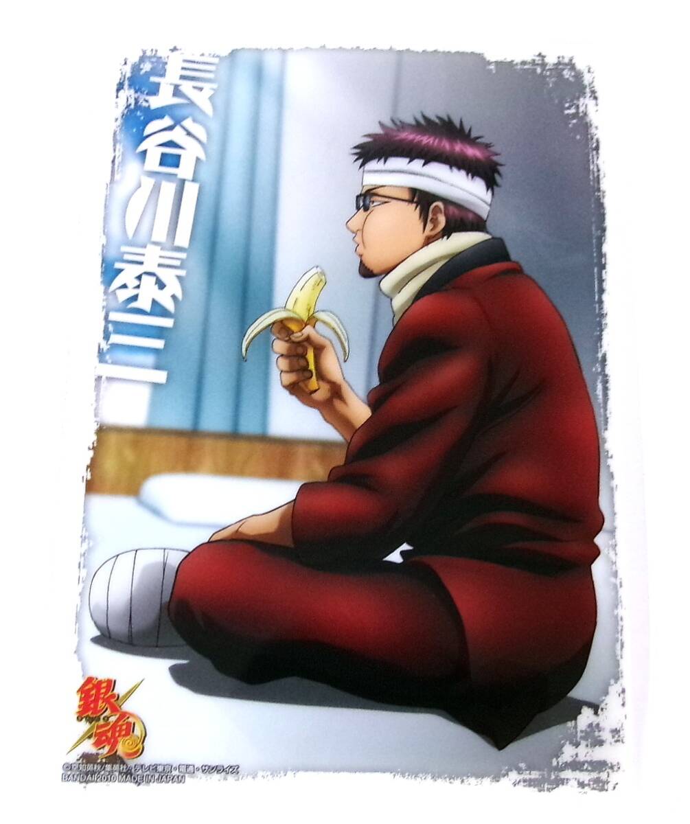 銀魂 クリアコレクション B.I.G5 / BIG5 長谷川泰三 マダオ 包帯 バナナ カード プレート 未使用拍卖