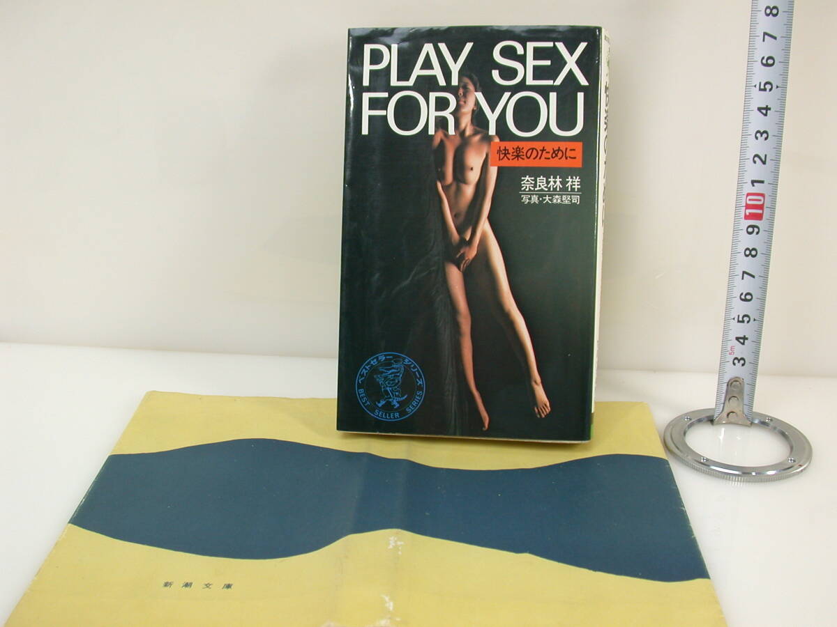 夢480.PLAY SEX FOR YOU 快楽のために 奈良林 祥 全251㌻拍卖