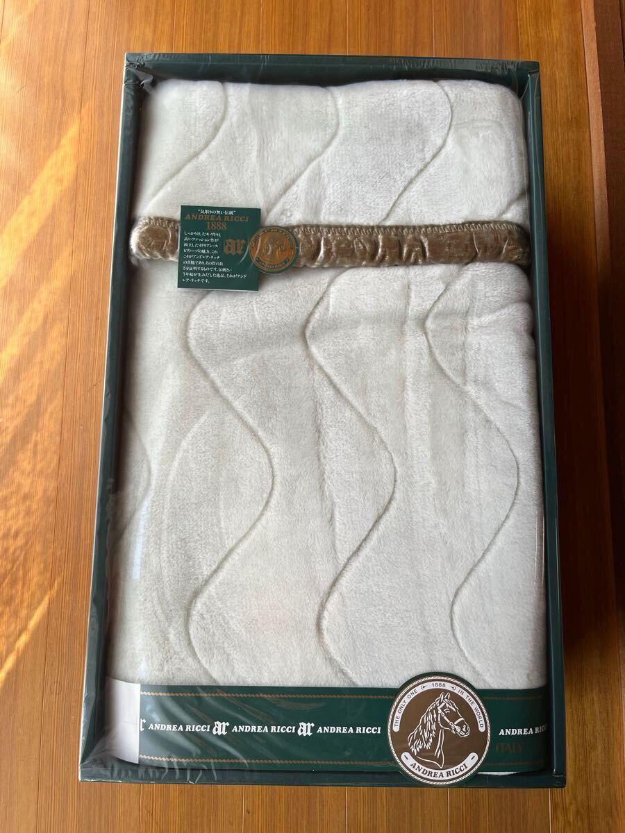 未使用☆ANDREA RICCI オーロラ毛布☆拍卖